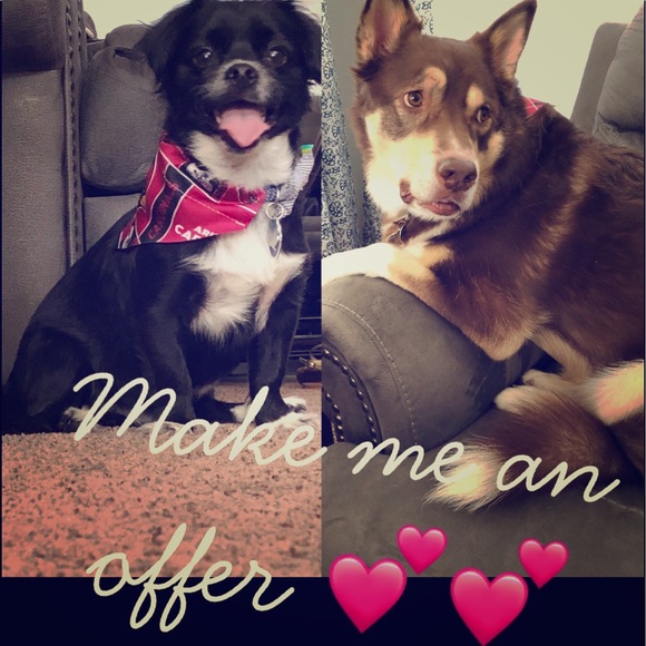 Make Me an Offer or Let’s Trade!! - Picture 1 of 1